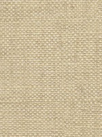 Caviar Taupe Basketweave Wallpaper 29848046 by Warner Wallpaper for sale at Wallpapers To Go