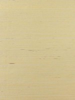 Sisal Ivory and Metallic Gold Wallpaper LN11874 by Seabrook Wallpaper for sale at Wallpapers To Go