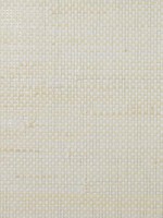 Paperweave Hemp Salt Lake and Silver Wallpaper LN11887 by Seabrook Wallpaper for sale at Wallpapers To Go