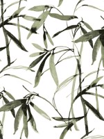 Bamboo Ink Green Black Wallpaper BW3842 by York Wallpaper for sale at Wallpapers To Go