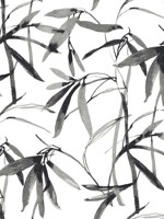 Bamboo Ink Black White Wallpaper BW3843 by York Wallpaper for sale at Wallpapers To Go