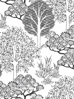 Kimono Trees White Black Wallpaper BW3853 by York Wallpaper for sale at Wallpapers To Go