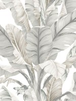 Banana Leaf White Cream Wallpaper BW3972 by York Wallpaper for sale at Wallpapers To Go