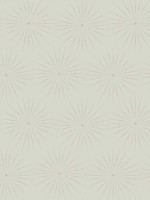 Starlight Gray Glint Wallpaper BO6693 by Antonina Vella Wallpaper for sale at Wallpapers To Go