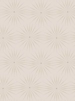 Starlight Pink Glint Wallpaper BO6694 by Antonina Vella Wallpaper for sale at Wallpapers To Go
