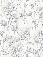 Mariell Grey Dragonfly Wallpaper 297390402 by A Street Prints Wallpaper for sale at Wallpapers To Go