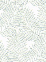 Finnley Green Inked Fern Wallpaper 297390501 by A Street Prints Wallpaper for sale at Wallpapers To Go