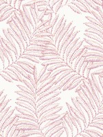 Finnley Pink Inked Fern Wallpaper 297390502 by A Street Prints Wallpaper for sale at Wallpapers To Go