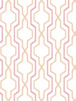 Rion Orange Trellis Wallpaper 297390603 by A Street Prints Wallpaper for sale at Wallpapers To Go