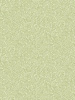 Anna Light Green Fern Trail Wallpaper 299955001 by A Street Prints Wallpaper for sale at Wallpapers To Go
