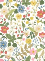 Strawberry Fields White Red Wallpaper RP7354 by Rifle Paper Co Wallpaper for sale at Wallpapers To Go