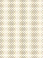 Petal Beige Wallpaper RP7360 by Rifle Paper Co Wallpaper for sale at Wallpapers To Go
