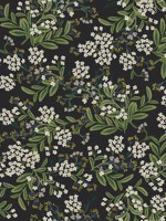 Cornflower Black Green Wallpaper RP7384 by Rifle Paper Co Wallpaper for sale at Wallpapers To Go