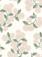 Hydrangea Beige Pink Wallpaper RP7393 by Rifle Paper Co Wallpaper for sale at Wallpapers To Go