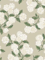 Hydrangea Beige Wallpaper RP7394 by Rifle Paper Co Wallpaper for sale at Wallpapers To Go