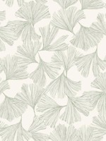 Ginkgo Toss Green Wallpaper DD3745 by Antonina Vella Wallpaper for sale at Wallpapers To Go