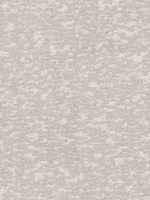 Weathered Cypress White Wallpaper DD3754 by Antonina Vella Wallpaper for sale at Wallpapers To Go