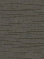 Tigers Eye Gray Wallpaper DD3765 by Antonina Vella Wallpaper for sale at Wallpapers To Go