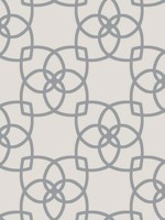 Serendipity Gray Silver Wallpaper Y6200205 by Antonina Vella Wallpaper for sale at Wallpapers To Go