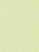 T Square Light Green Wallpaper T20865 by Thibaut Wallpaper for sale at Wallpapers To Go