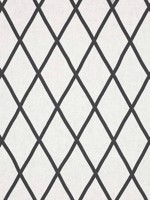 Tarascon Trellis Applique Black on White Fabric AW78712 by Anna French Fabrics for sale at Wallpapers To Go