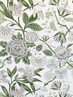 Cleo Green and White Fabric AF9622 by Anna French Fabrics for sale at Wallpapers To Go