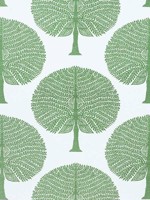 Mulberry Tree Green Fabric F910604 by Thibaut Fabrics for sale at Wallpapers To Go