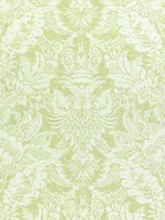 Chardonnet Damask Spring Green Fabric F972587 by Thibaut Fabrics for sale at Wallpapers To Go