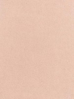 Club Velvet Blush Fabric W7205 by Thibaut Fabrics for sale at Wallpapers To Go