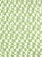 Gogo Parrot Green Fabric F920800 by Thibaut Fabrics for sale at Wallpapers To Go