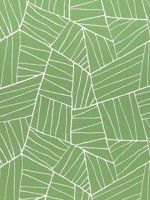 Jordan Kelly Green Fabric W74652 by Thibaut Fabrics for sale at Wallpapers To Go