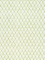 Arboreta Green Fabric F910830 by Thibaut Fabrics for sale at Wallpapers To Go