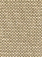 Palmetto Straw Fabric W80230 by Thibaut Fabrics for sale at Wallpapers To Go