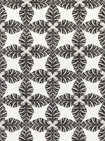 Starleaf Black Fabric F92971 by Thibaut Fabrics for sale at Wallpapers To Go