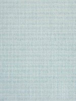 Avery Celadon Fabric W789133 by Thibaut Fabrics for sale at Wallpapers To Go