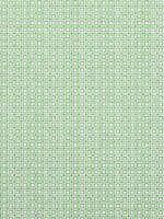 Santa Monica Emerald Green Fabric F913099 by Thibaut Fabrics for sale at Wallpapers To Go