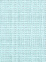 Santa Monica Turquoise Fabric F913102 by Thibaut Fabrics for sale at Wallpapers To Go