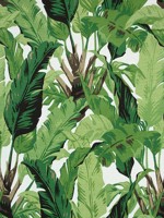 Travelers Palm Green Fabric F910127 by Thibaut Fabrics for sale at Wallpapers To Go