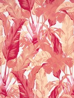 Travelers Palm Pink and Coral Fabric F910130 by Thibaut Fabrics for sale at Wallpapers To Go