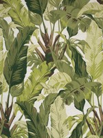 Travelers Palm Sage Fabric F910131 by Thibaut Fabrics for sale at Wallpapers To Go