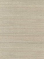 Galan Silver Grasscloth Wallpaper 292380005 by A Street Prints Wallpaper for sale at Wallpapers To Go