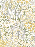 Chilton Yellow Wildflowers Wallpaper 408126348 by A Street Prints Wallpaper for sale at Wallpapers To Go