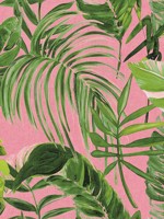 Palmera Pink Wallpaper WLD53104W by OhPopsi Wallpaper for sale at Wallpapers To Go