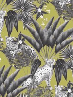 Jungle Cheetah Grey Wallpaper WLD53105W by OhPopsi Wallpaper for sale at Wallpapers To Go