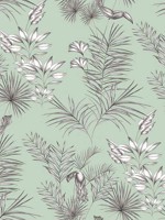 Toucan Toile Mint Wallpaper WLD53113W by OhPopsi Wallpaper for sale at Wallpapers To Go