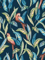 Tropical Parrot Indigo Wallpaper WLD53117W by OhPopsi Wallpaper for sale at Wallpapers To Go