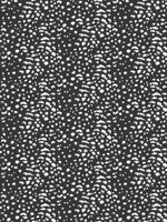Cheetah Spot Black Wallpaper WLD53127W by OhPopsi Wallpaper for sale at Wallpapers To Go