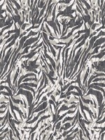 Zebra Charcoal Wallpaper WLD53135W by OhPopsi Wallpaper for sale at Wallpapers To Go