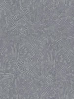 Agassiz Burst Grey Wallpaper 4082382031 by Advantage Wallpaper for sale at Wallpapers To Go