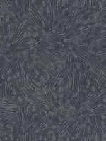 Agassiz Burst Dark Grey Wallpaper 4082382032 by Advantage Wallpaper for sale at Wallpapers To Go